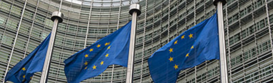 vlaggen eu