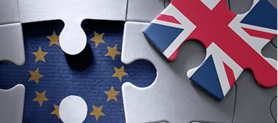 Brexit puzzle