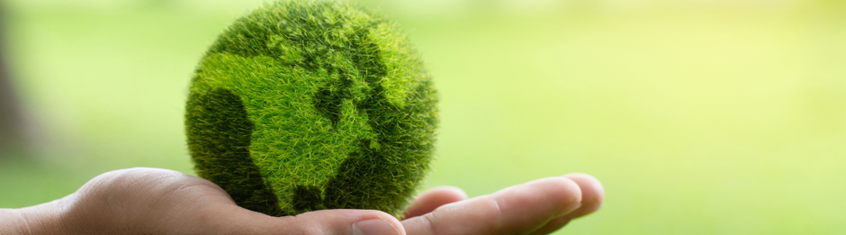 ESG Insights