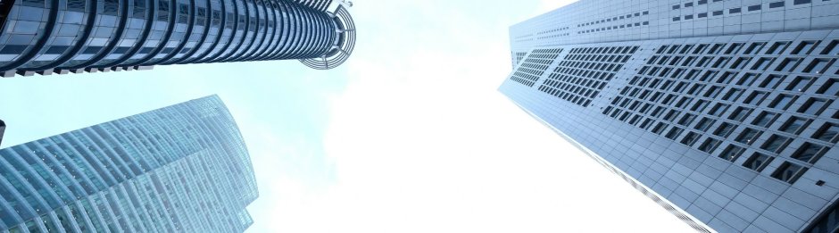 Stricter requirements for day-to-day policymakers 