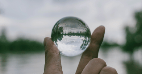 Transparency