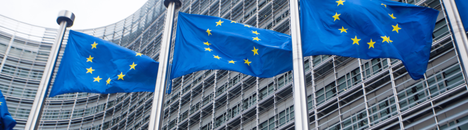 Critical government assessment of the Omnibus Directive