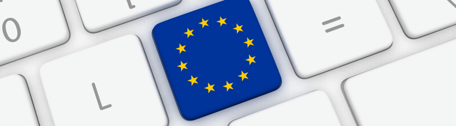 Dutch Government Opts for Mandatory E-Invoicing and Digital Reporting for B2B Transactions